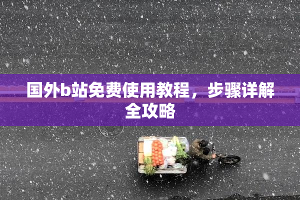 国外b站免费使用教程，步骤详解全攻略