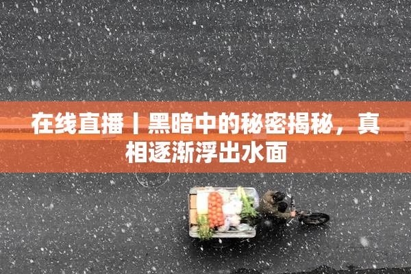 在线直播丨黑暗中的秘密揭秘，真相逐渐浮出水面