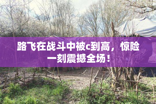 路飞在战斗中被c到高，惊险一刻震撼全场！