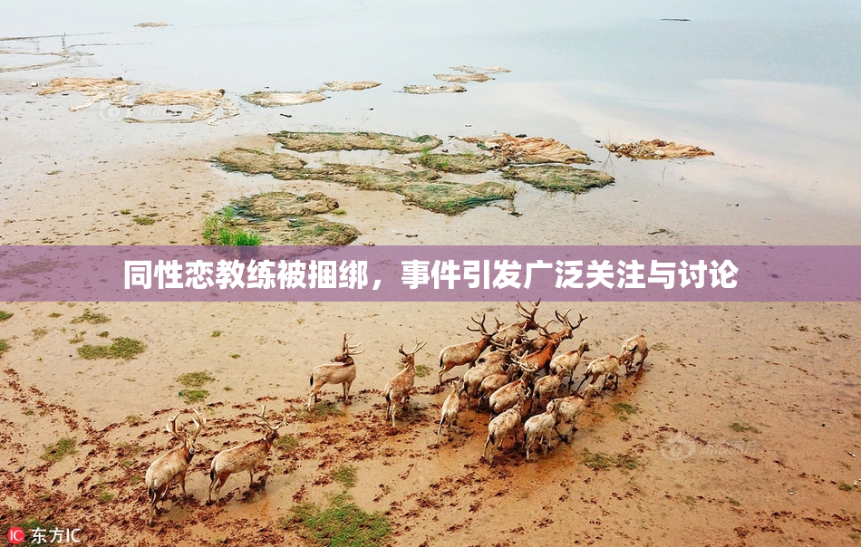 同性恋教练被捆绑，事件引发广泛关注与讨论
