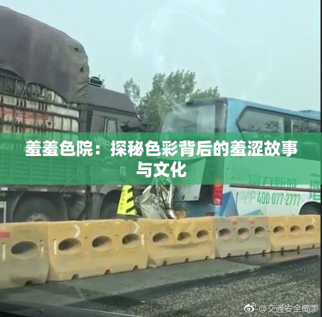 羞羞色院：探秘色彩背后的羞涩故事与文化