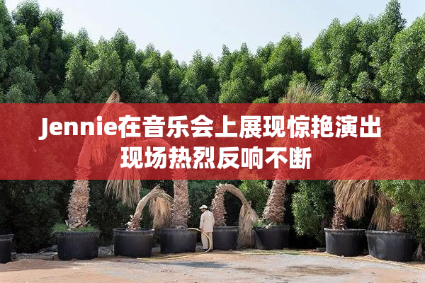 Jennie在音乐会上展现惊艳演出 现场热烈反响不断