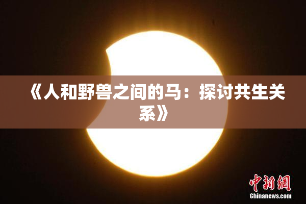 《人和野兽之间的马：探讨共生关系》