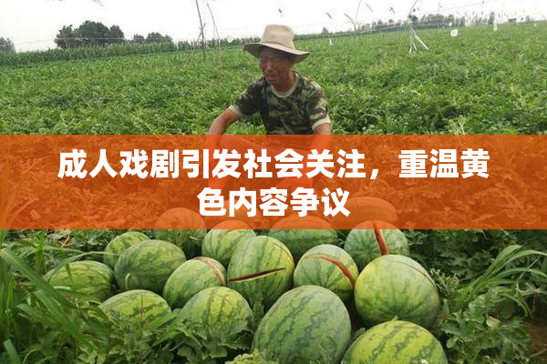 成人戏剧引发社会关注，重温黄色内容争议