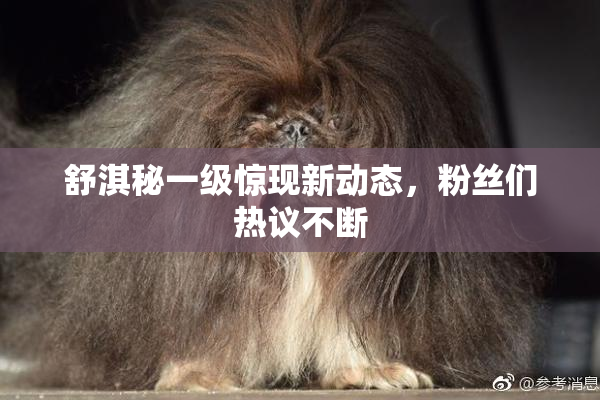 舒淇秘一级惊现新动态，粉丝们热议不断