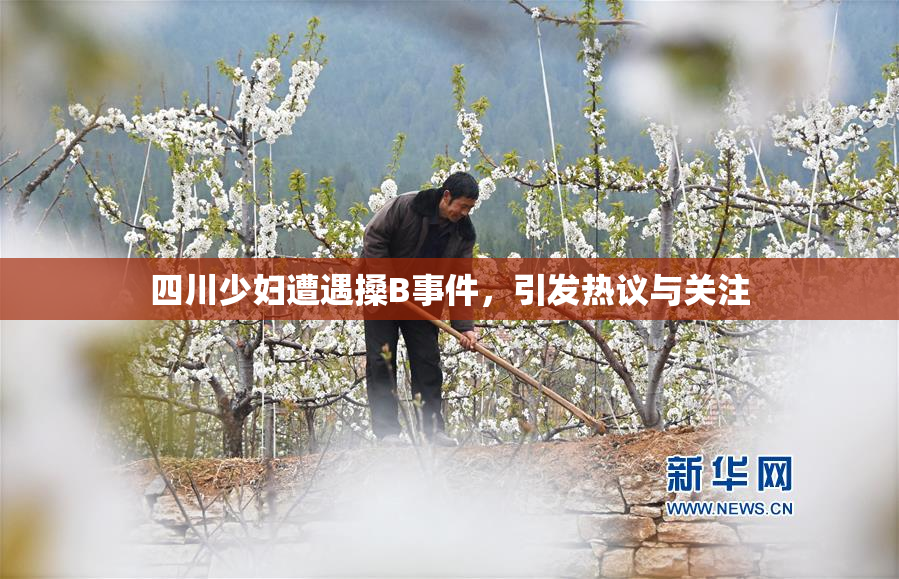 四川少妇遭遇搡B事件，引发热议与关注