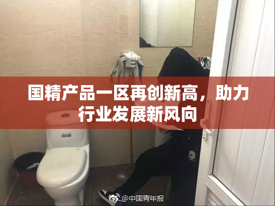 国精产品一区再创新高，助力行业发展新风向