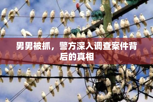 男男被抓，警方深入调查案件背后的真相