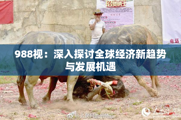 988视：深入探讨全球经济新趋势与发展机遇