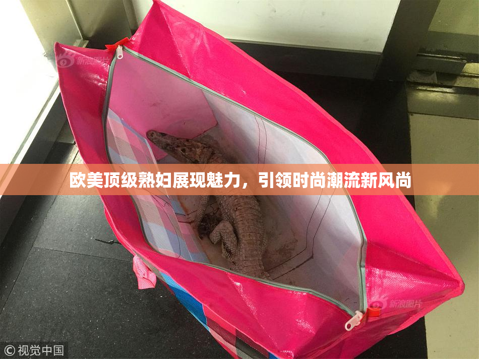 欧美顶级熟妇展现魅力，引领时尚潮流新风尚