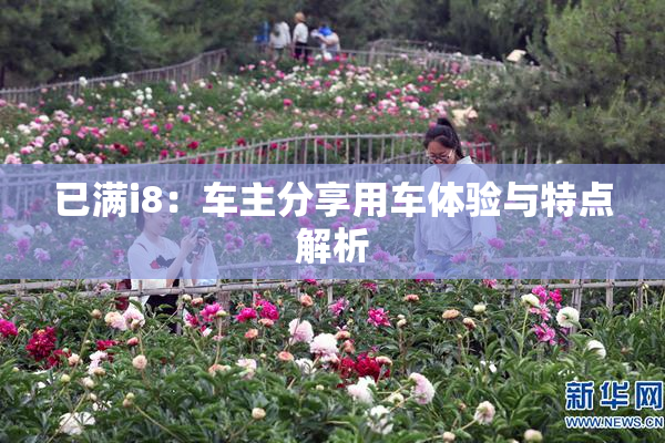 已满i8：车主分享用车体验与特点解析