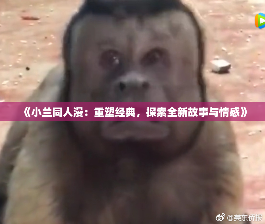 《小兰同人漫：重塑经典，探索全新故事与情感》