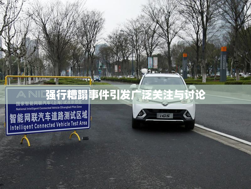 强行糟蹋事件引发广泛关注与讨论