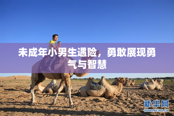 未成年小男生遇险，勇敢展现勇气与智慧