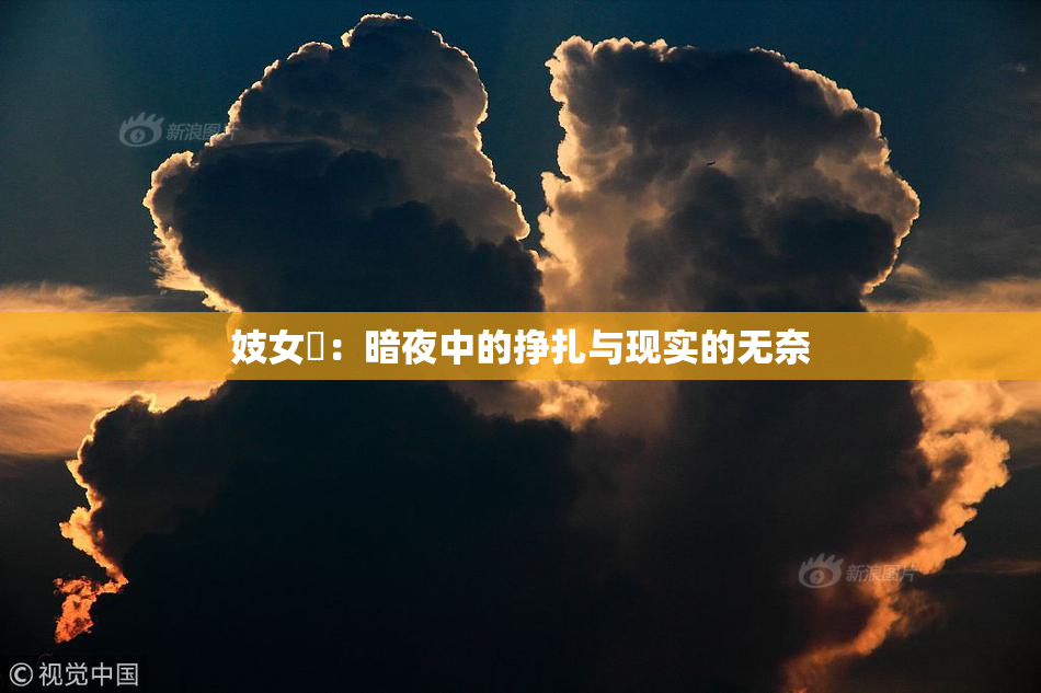 妓女梱：暗夜中的挣扎与现实的无奈