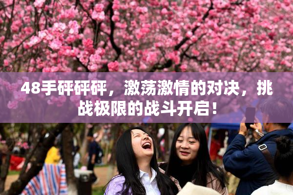 48手砰砰砰，激荡激情的对决，挑战极限的战斗开启！