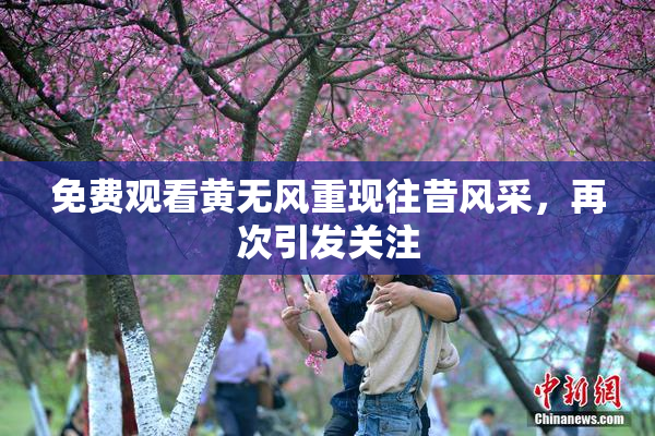免费观看黄无风重现往昔风采，再次引发关注