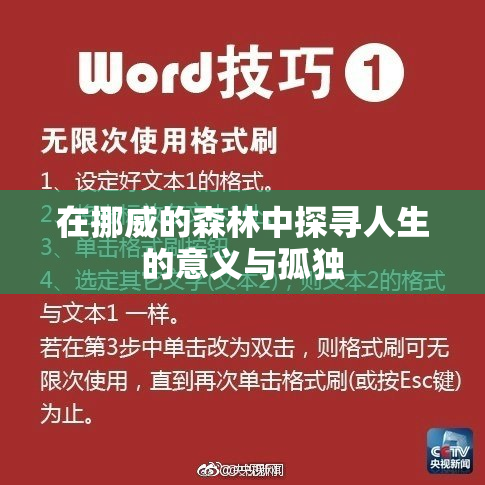 在挪威的森林中探寻人生的意义与孤独