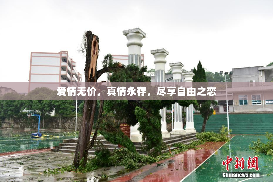 爱情无价，真情永存，尽享自由之恋