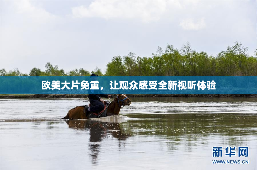 欧美大片免重，让观众感受全新视听体验