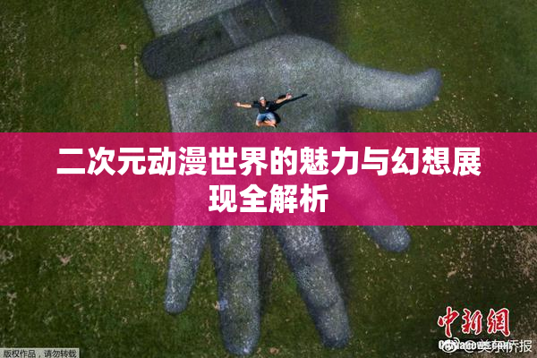 二次元动漫世界的魅力与幻想展现全解析