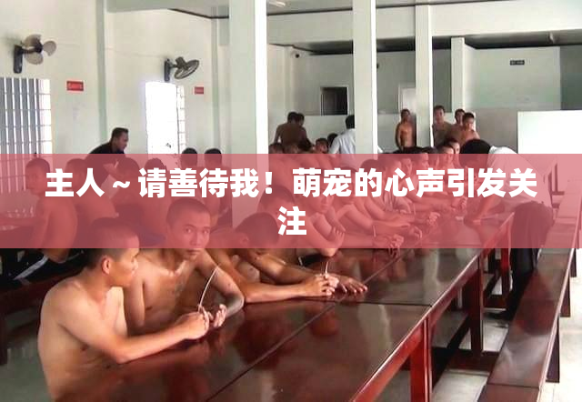 主人～请善待我！萌宠的心声引发关注
