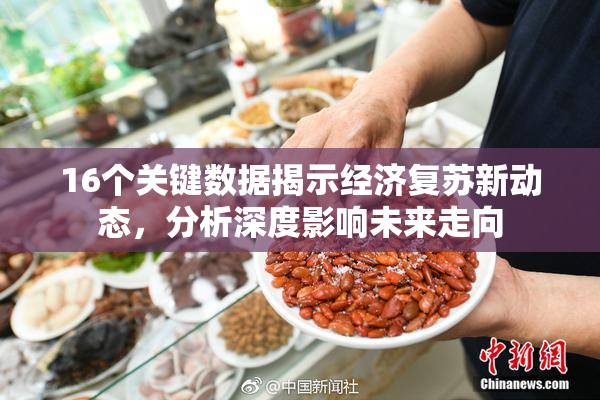 16个关键数据揭示经济复苏新动态，分析深度影响未来走向