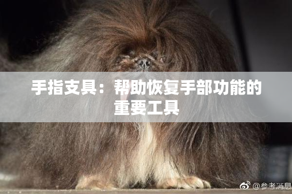 手指支具：帮助恢复手部功能的重要工具