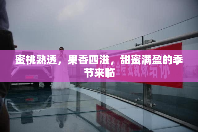 蜜桃熟透，果香四溢，甜蜜满盈的季节来临