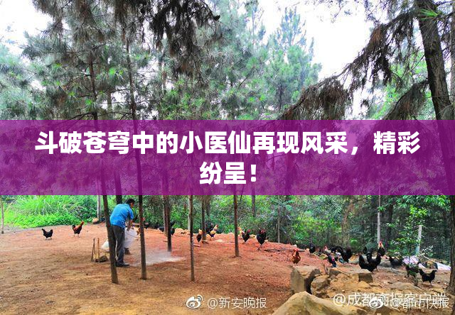 斗破苍穹中的小医仙再现风采，精彩纷呈！