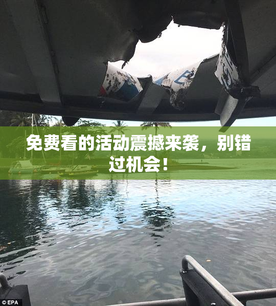 免费看的活动震撼来袭，别错过机会！