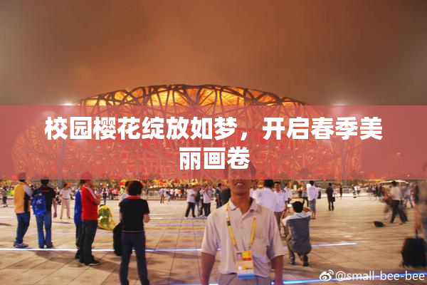 校园樱花绽放如梦，开启春季美丽画卷