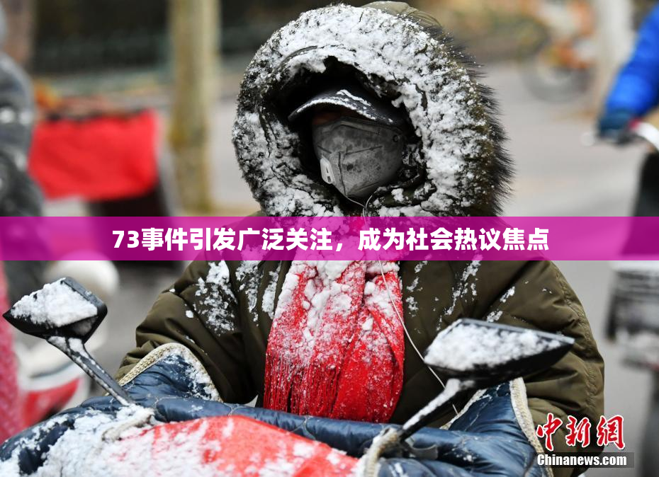 73事件引发广泛关注，成为社会热议焦点
