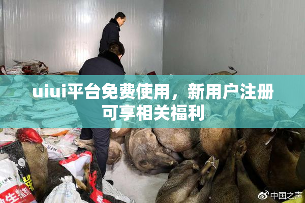 uiui平台免费使用，新用户注册可享相关福利