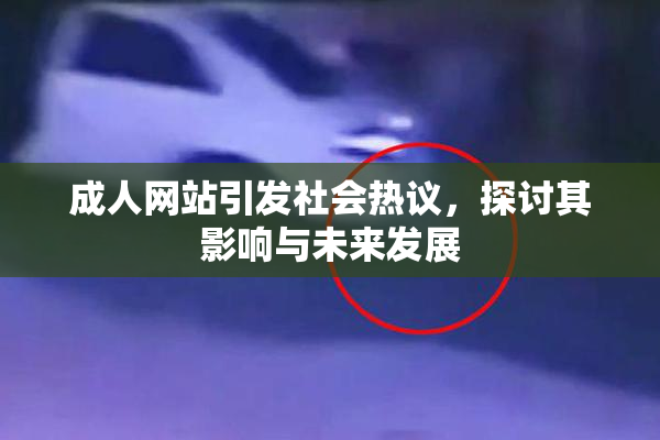 成人网站引发社会热议，探讨其影响与未来发展