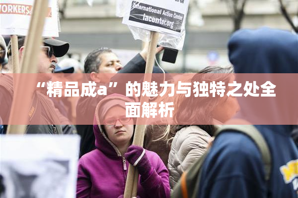 “精品成a”的魅力与独特之处全面解析