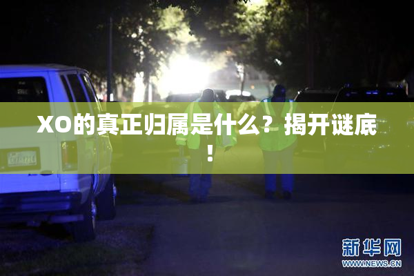XO的真正归属是什么？揭开谜底！